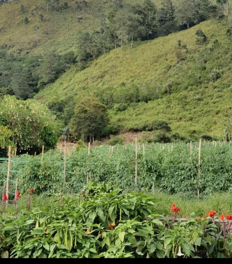 Villa Gunung Mas Berastagi Bagian luar foto